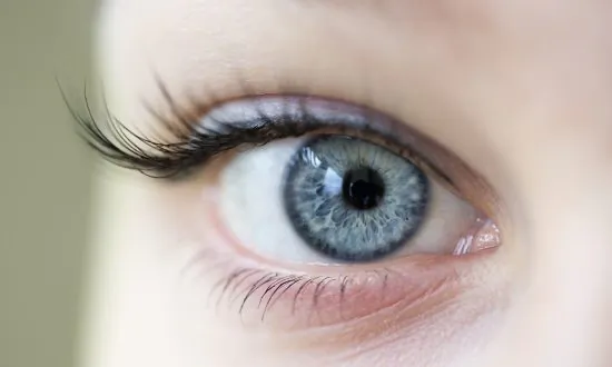 Brain’s Light Detector Is Not So Simple After All