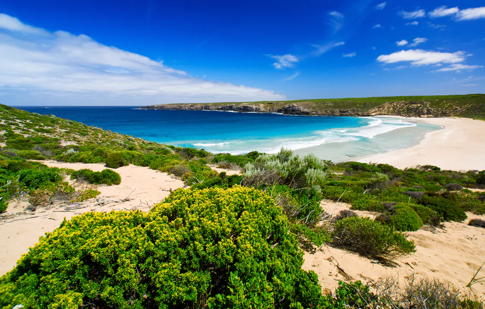 West Bay on Kangaroo Island via Shutterstock*