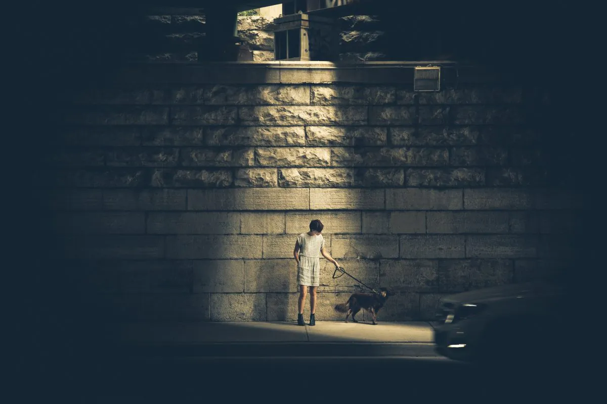 The first version of the test used a set of photos depicting urban street scenes. But the concept could conceivably expand to include all kinds of photos, say the researchers. (Matthiew Wiebe, Unsplash)