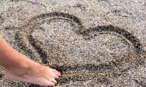 A Love Letter to Gout