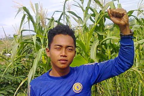 Indonesia Forestry Giant Leaves Area After Villager’s Death