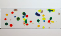 Why Food Coloring Droplets ‘Dance’ Around