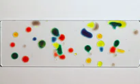 Why Food Coloring Droplets ‘Dance’ Around