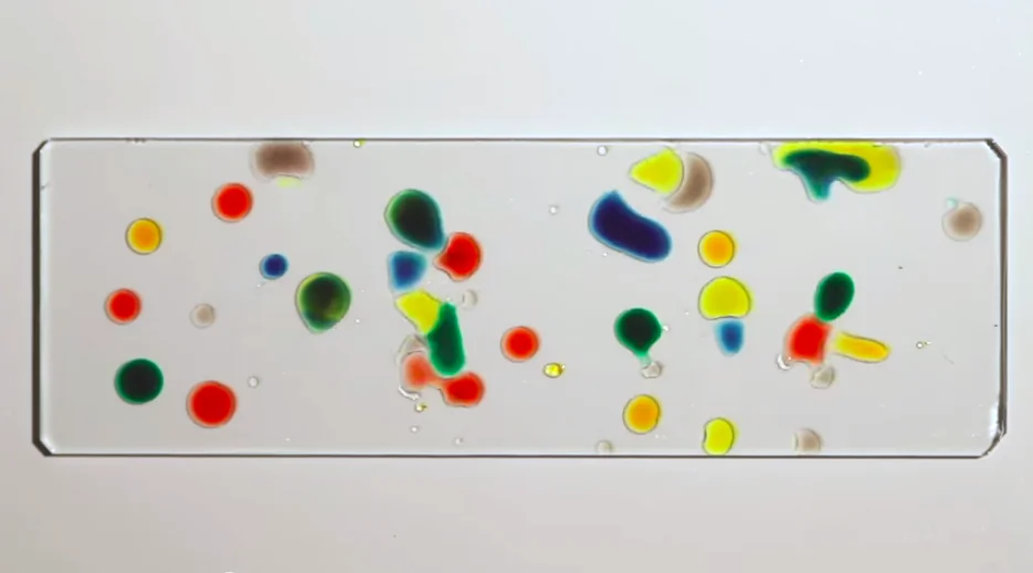 "We've discovered how droplets can exhibit behaviors akin to artificial chemotaxis," says Manu Prakash. (Stanford via YouTube)