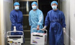 China's Organ Transplant History Over Time