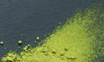 The Magic of Matcha