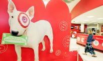 Should We Praise Target for Settling Data Breach Lawsuit?