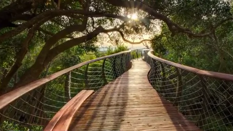 This Path Only Touches the Ground Twice! (Video)