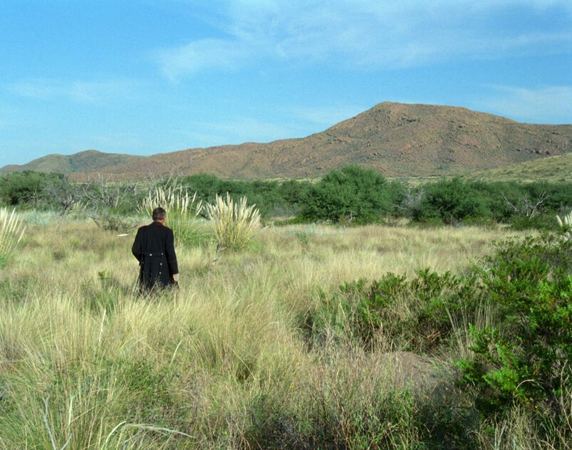 man walking in tall grass in "Jauja"