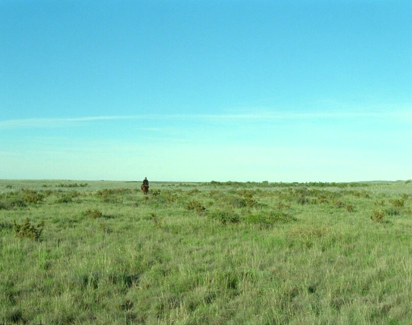man rides horse through the grass, in "Jauja"