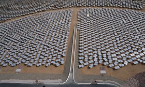 Why Is Low-Carbon Energy Innovation So Slow? You Can Thank Economics 101 