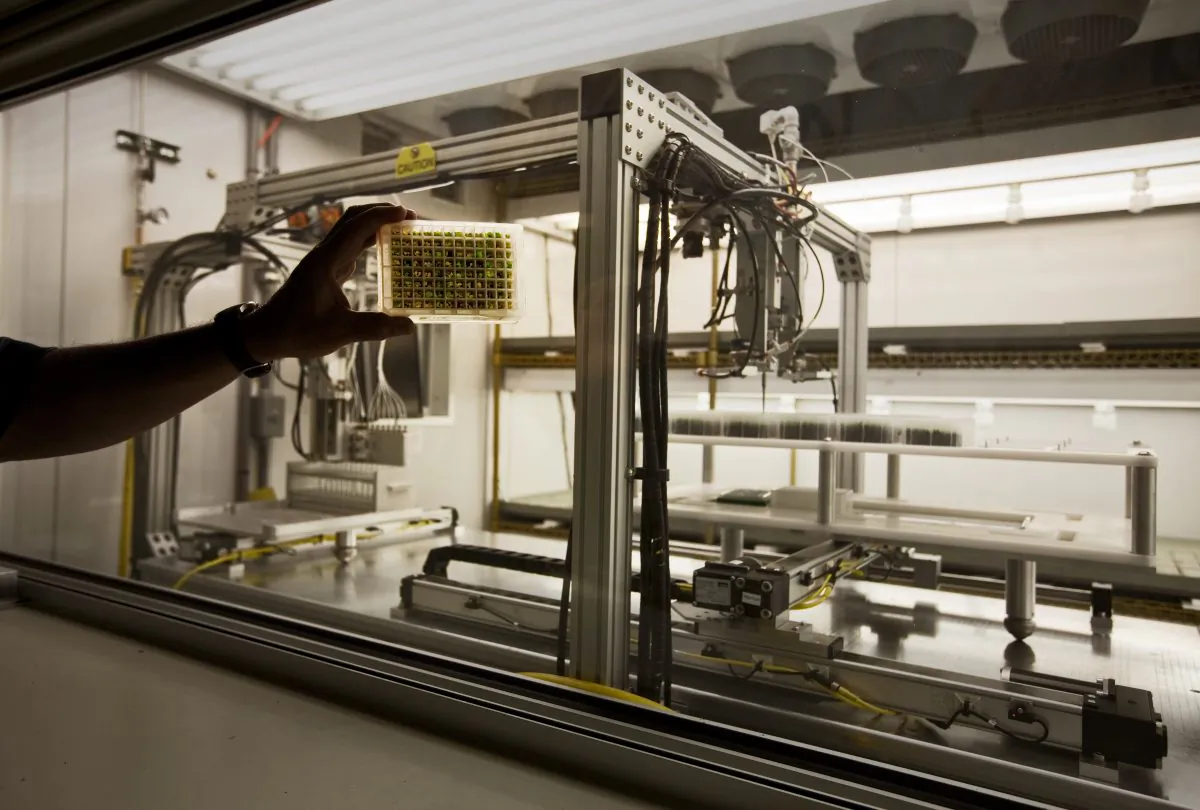 A machine at the Monsanto headquarters is used to test various dosages of Round Up herbicide on weed seedlings grown in a biotechnology lab in St Louis, Mo., on May 21, 2009. (Brent Stirton/Getty Images.)

