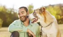 Is Life With a Dog Like Taking Probiotics?