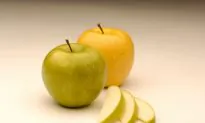 Consumers May Balk at Buying Newly Approved GM Apple: Growers