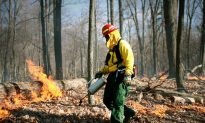 Why Forest Managers Want to Set Fires but Can’t