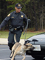 Secret Service Canine Explosives Detection Unit screens vehicles and event sites for explosives. (Courtesy U.S. Secret Service)