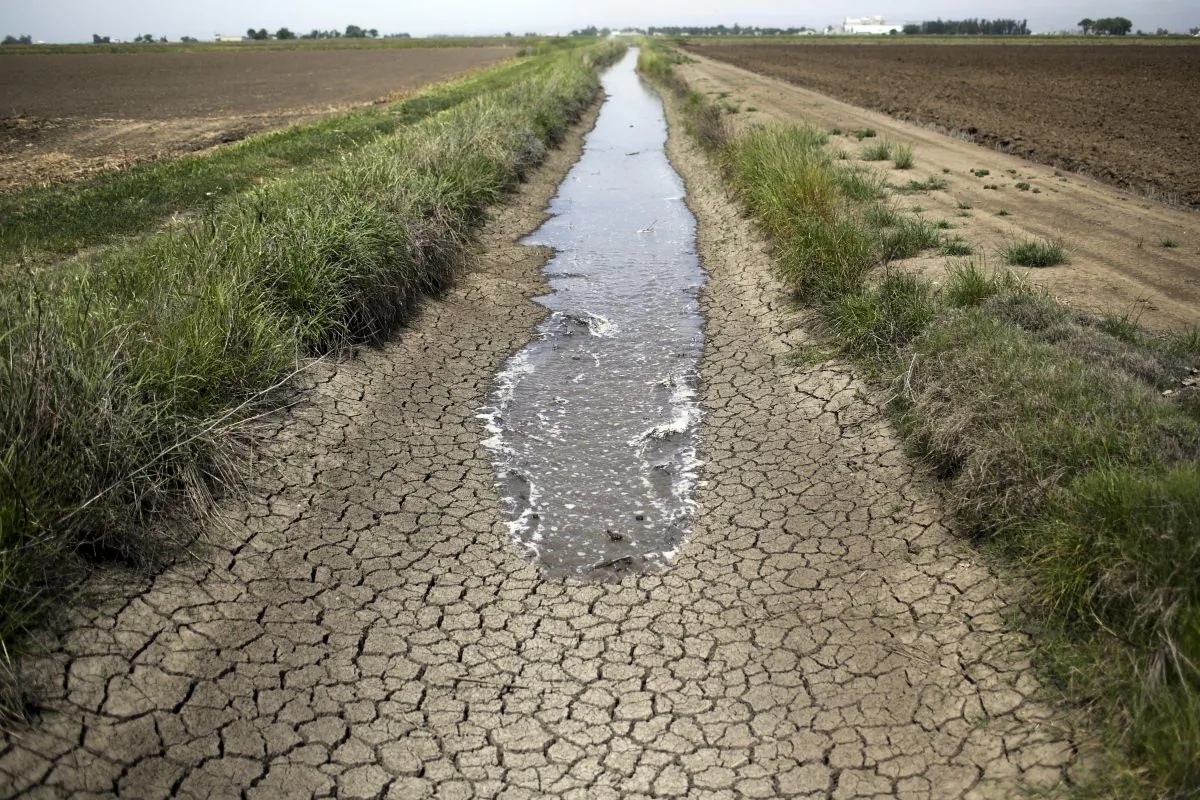 Irrigation water runs along a dried-up ditch between rice farms in Richvale, Calif., on May 1, 2014. (Jae C. Hong/AP Photo)