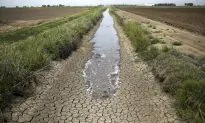 The Shared Scarcity Agenda of Predatory Investors and Extreme Environmentalists