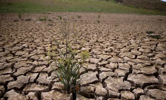 Soil in Danger: How Fixing Agricultural Soil Could Help the World