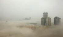 Smog Killing China’s Forests May Spread to Other Countries, Researchers Warn