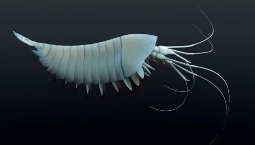 New Arthropod Fossil Might be Relative of Spiders, Scorpions (Video)