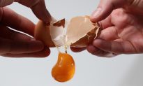 New Study Confirms––Eggs Are A Stroke In A Shell
