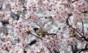 Photos of the Day – April 2015