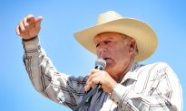 Rancher Cliven Bundy Backs Bill Letting Nevada Seize Federal Land