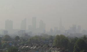 Air Pollution May Be Damaging Children's Brains – Before They Are Even Born