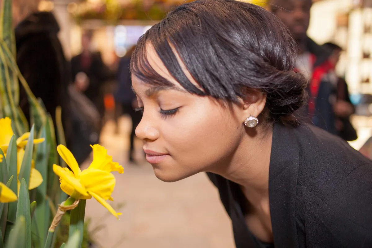 Smells good – but how does it work? (Petr Svab/Epoch Times)