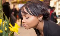 What’s That Smell? A Controversial Theory of Olfaction Deemed Implausible