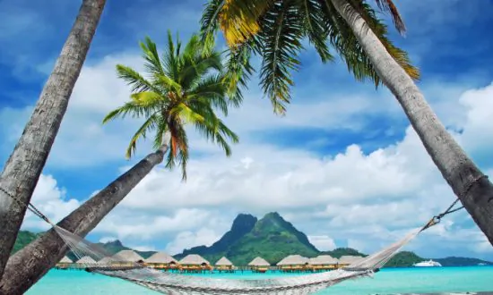 Spend Fantastic Nights at Rarotonga