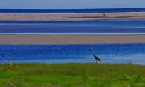 Cycling in Kouchibouguac National Park, New Brunswick