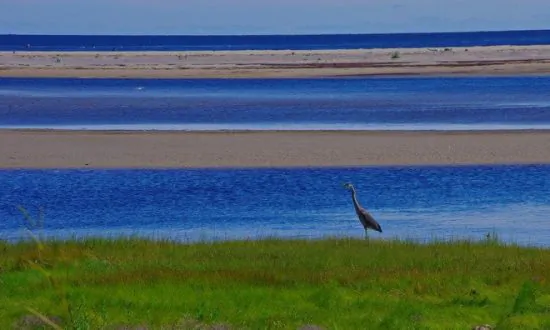Cycling in Kouchibouguac National Park, New Brunswick