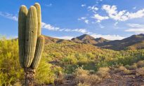 Desert Adventure: Phoenix Arizona