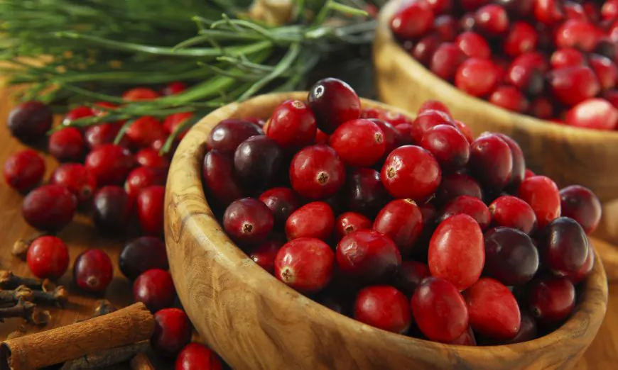 Cranberry Pills for UTI Work Like Antibiotics