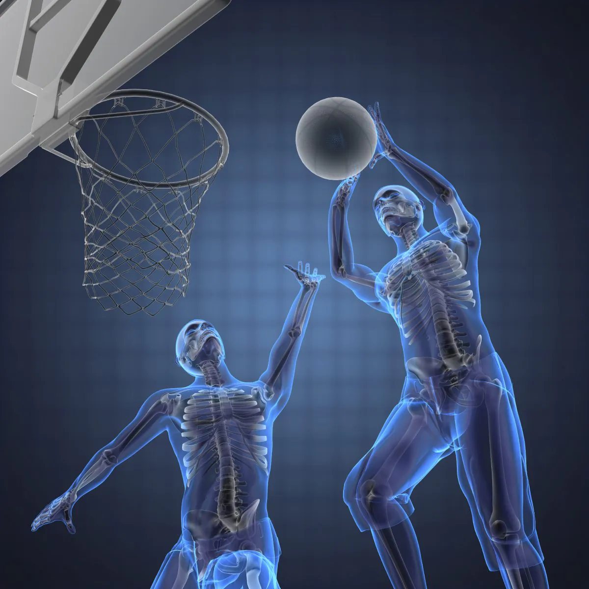 Your bones are cleverer, and more complex, than you might think. (Video Doctor/iStock)