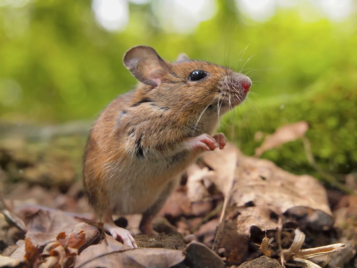 (CreativeNature/iStock/Thinkstock)