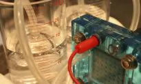 Cobalt Thin Film Splits Water in Two