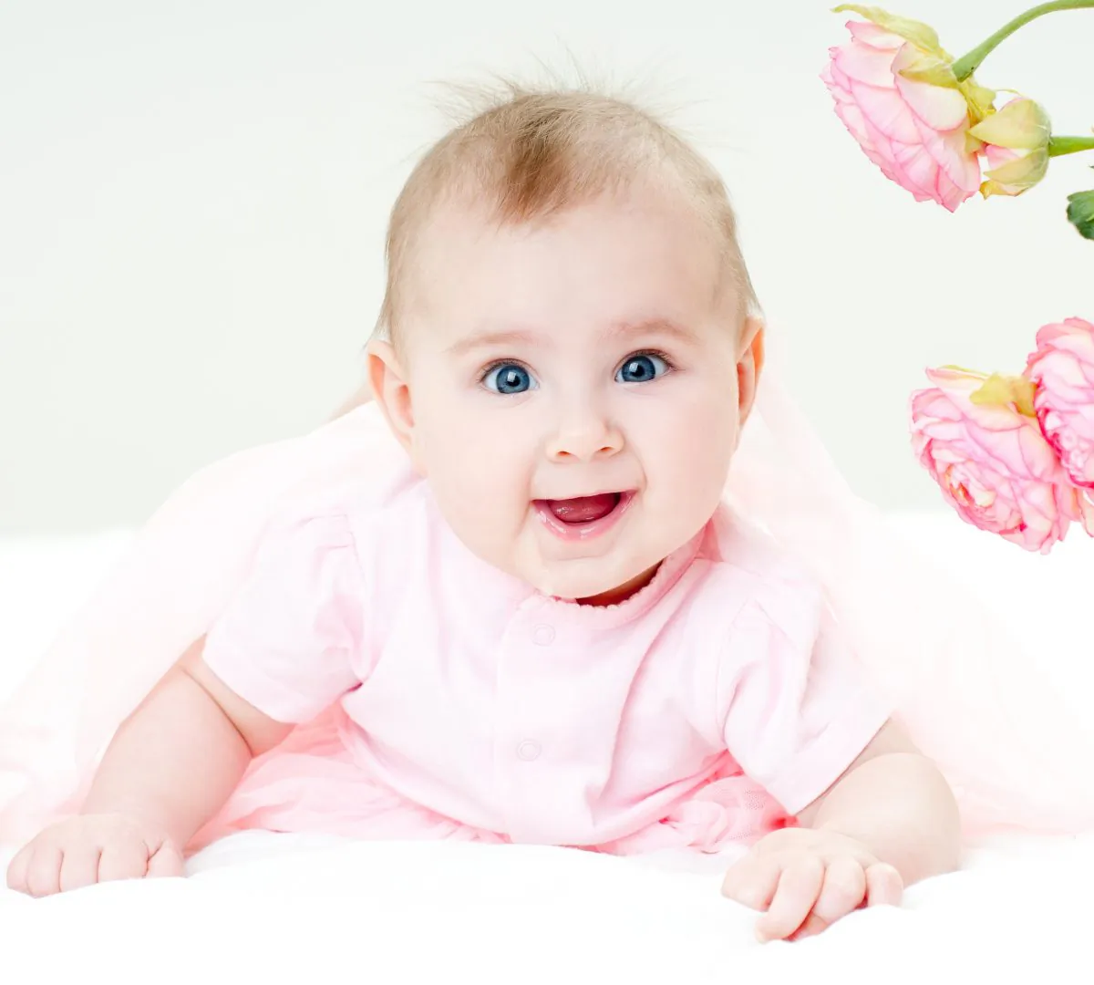  (Svetlana Fedoseyeva, Shutterstock)