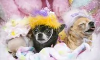 Easter Parade: Put on a Bonnet and Mingle