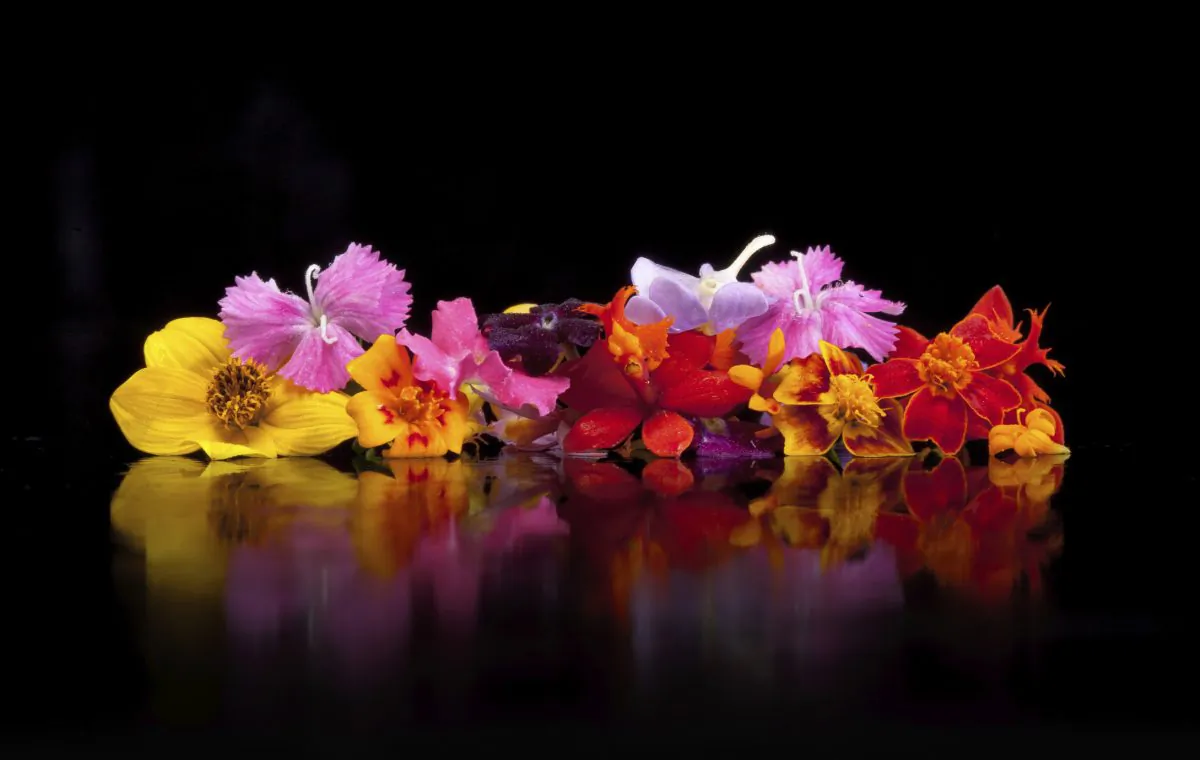 Assorted edible flowers. (ryanmatthewsmith/iStock/Thinkstock) 