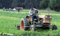 Water in California: A Breakdown of the 80 Percent That Goes to Agriculture