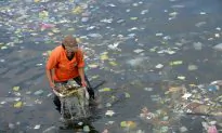 8.8 Million Tons of Plastic Pollute Oceans Every Year
