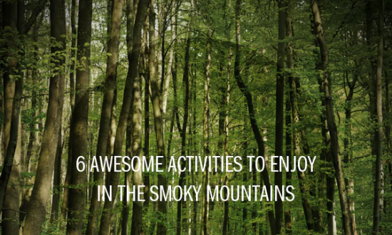 6 Awesome Activities to Enjoy in the Smoky Mountains
