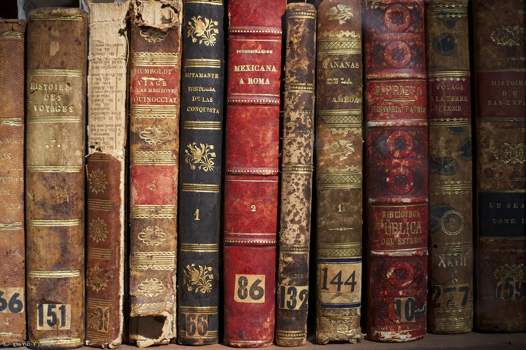 Nourishment from letters. (David Flores, CC BY, 2.0)
