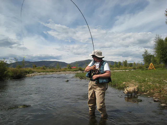 "The good news is we find that simple strategies can avoid the worst of the ecological impacts, with little costs to fisheries," says Tim Essington. (Bugeater, CC BY)