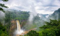 Top Things to Do in Cameroon