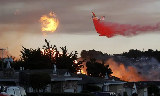 California Utilities Head Calls Pacific Gas & Electric ‘Too Large … to Succeed at Safety’