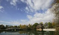 China’s New Anti-Corruption Target: Landscapers